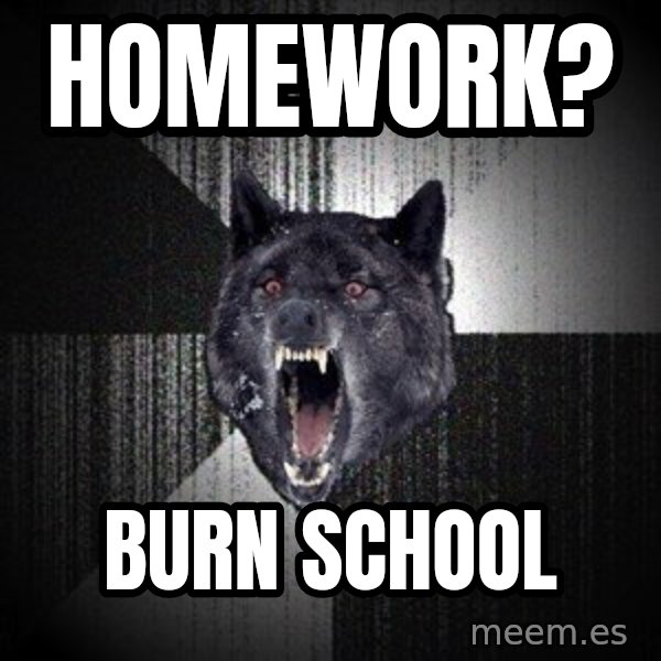 Insanity Wolf meme: homework? / burn school