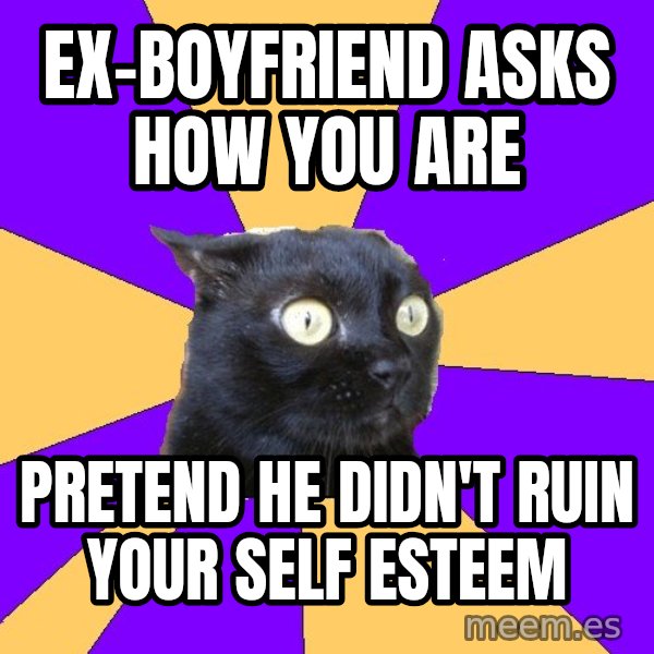Anxiety Cat meme: ex-boyfriend asks how you are / pretend he didn't ruin your self esteem