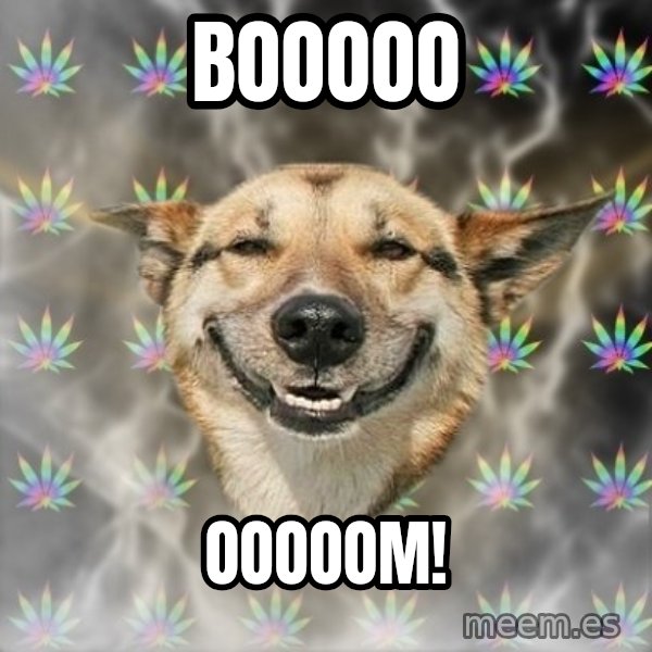 Stoner Dog meme: BOOOOO / OOOOOM!
