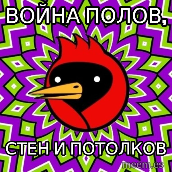 Omsk Crow meme: война полов, / стен и потолков