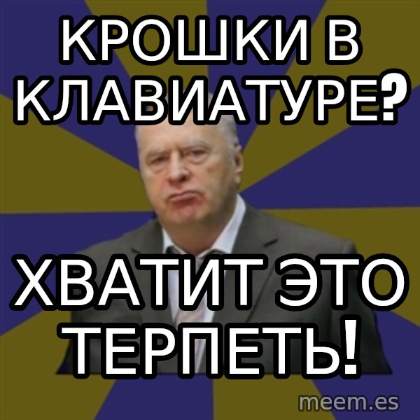 Vladimir Zhirinovsky meme: Крошки в клавиатуре? / хватит это терпеть!