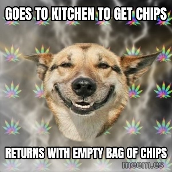 Stoner Dog meme: goes to kitchen to get chips / returns with empty bag of chips