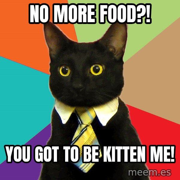 Business Cat meme: No more food?! / You got to be kitten me!