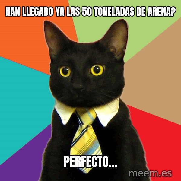 Business Cat meme: han llegado ya las 50 toneladas de arena? / perfecto...
