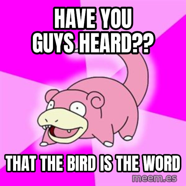 Slowpoke meme: HAVE YOU GUYS HEARD?? / THAT THE BIRD IS THE WORD