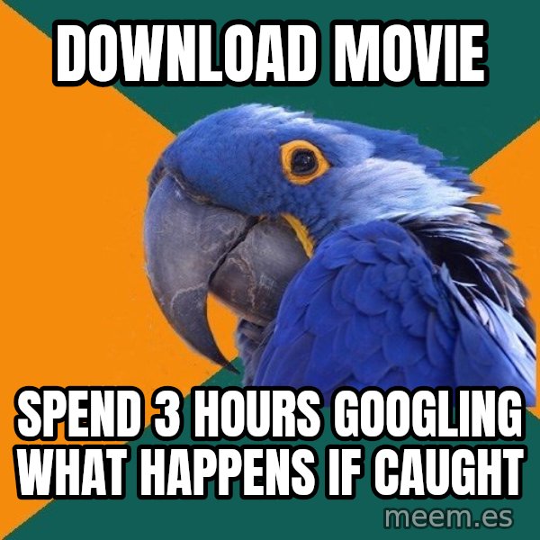 Paranoid Parrot meme: download movie / SPEND 3 HOURS GOOGLING WHAT HAPPENS IF CAUGHT