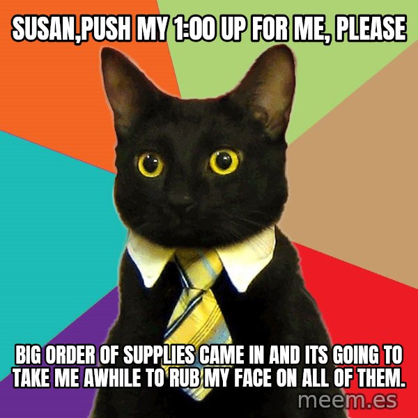 Business Cat meme: susan,push my 1:00 up for me, please / big order of supplies came in and its going to take me awhile to rub my face on all of them.