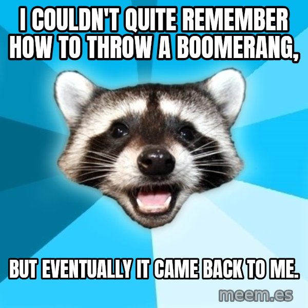 Lame Pun Coon meme: I couldn't quite remember how to throw a boomerang, / BUT EVENTUALLY IT CAME BACK TO ME.