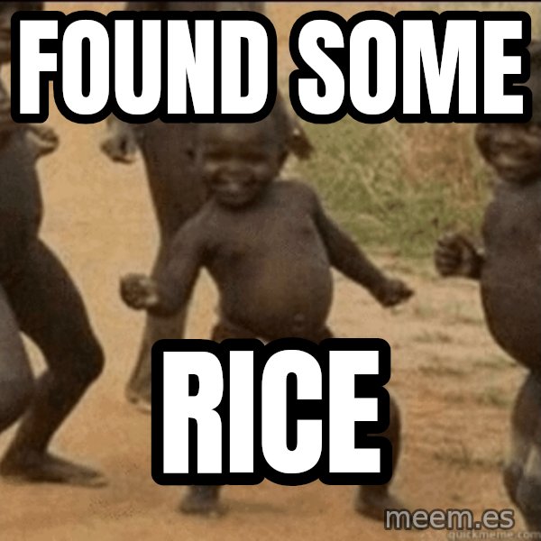 Third World Success meme: found some / rice