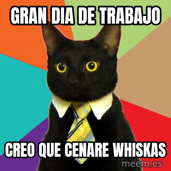 Business Cat meme: Gran dia de trabajo / Creo Que Cenare Whiskas