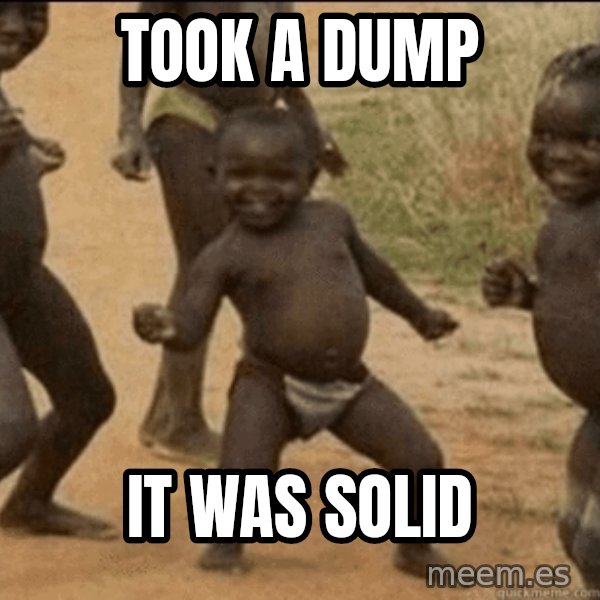 Third World Success meme: took a dump / it was solid
