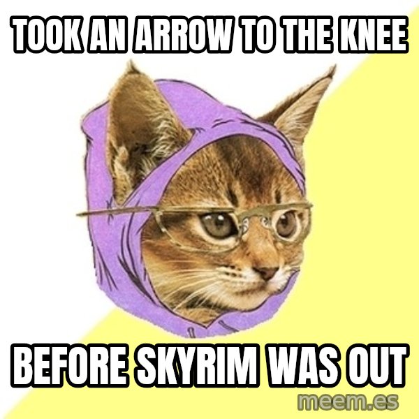 Hipster Kitty meme: TOOK AN ARROW TO THE KNEE / Before skyrim was out