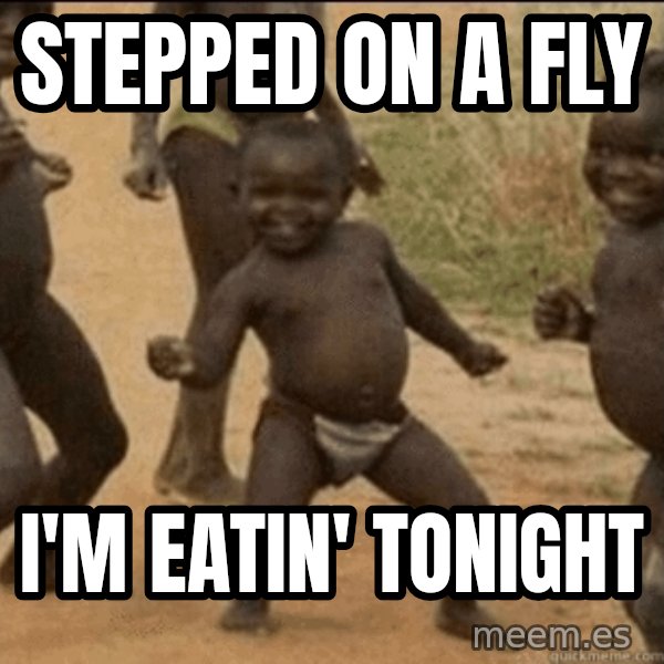Third World Success meme: Stepped on a fly / i'm eatin' tonight