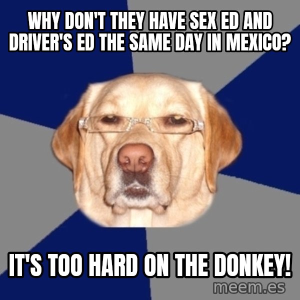 Racist Dog meme: why don't they have sex ed and driver's ed the same day in mexico? / it's too hard on the donkey!
