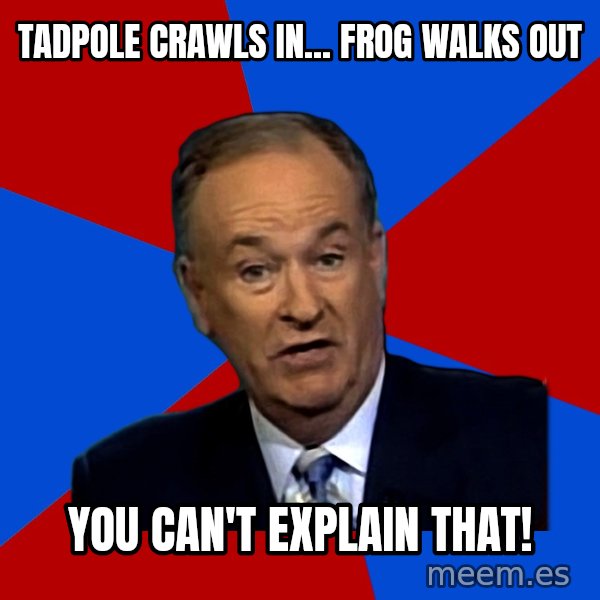 Bill O'Reilly Proves God meme: tadpole crawls in... frog walks out / You can't explain that!