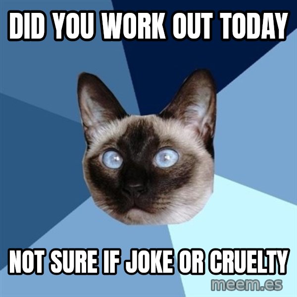 Chronic Illness Cat meme: Did you work out today / Not sure if joke or cruelty