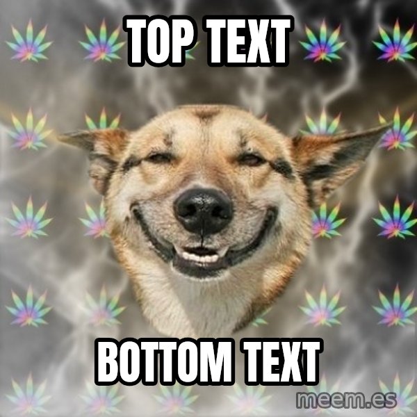 Stoner Dog meme: Top Text / Bottom Text
