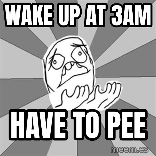 Whyyy??? meme: wake up at 3am / have to pee