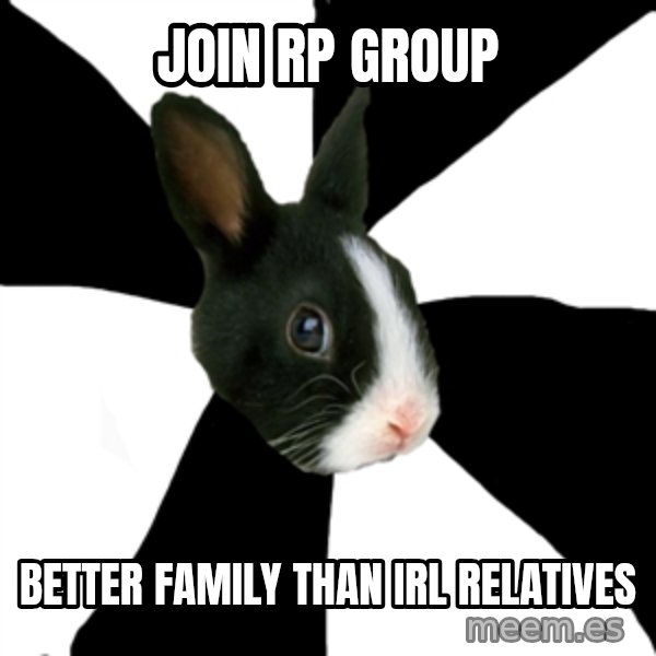 Roleplaying Rabbit meme: Join rp group / Better family than irl relatives