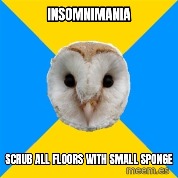 Bipolar Owl meme: INSOMNIMANIA / SCRUB ALL FLOORS WITH SMALL SPONGE