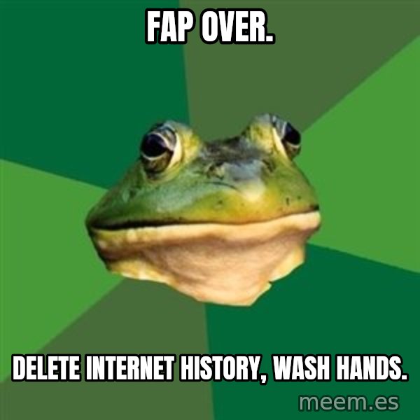Foul Bachelor Frog meme: Fap over. / delete internet history, wash hands.