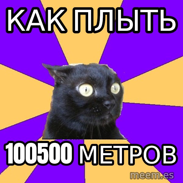 Anxiety Cat meme: как плыть / 100500 метров
