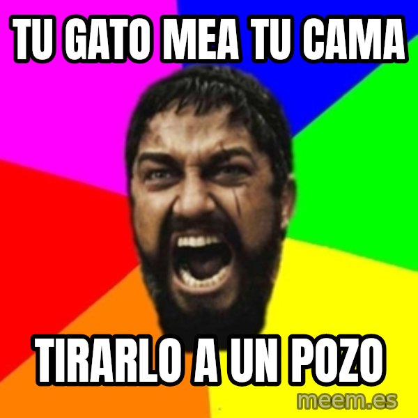 sparta meme: tu gato mea tu cama / tirarlo a un pozo