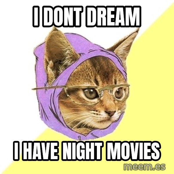 Hipster Kitty meme: i dont dream / i have night movies