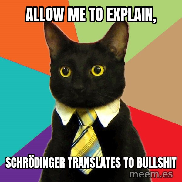 Business Cat meme: Allow me to explain, / Schrödinger Translates to bullshit