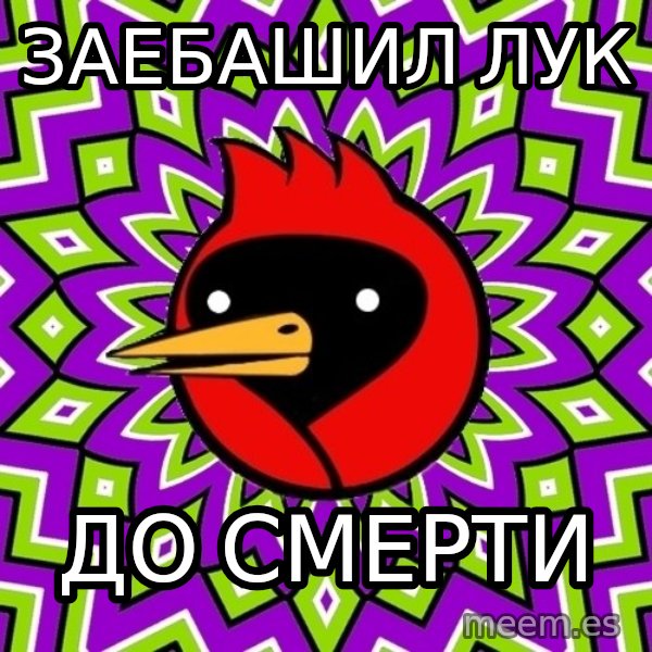 Omsk Crow meme: ЗАЕБАШИЛ ЛУК / ДО СМЕРТИ