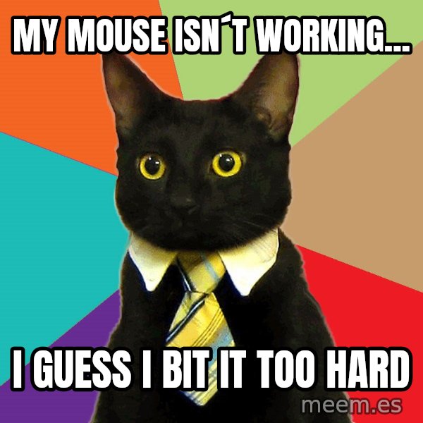 Business Cat meme: My mouse isn´t working... / i guess i bit it too hard