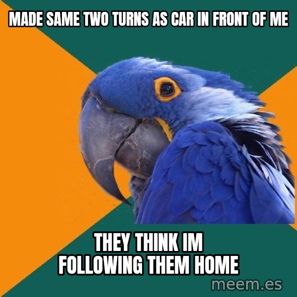 Paranoid Parrot meme: mADE SAME TWO TURNS AS CAR IN FRONT OF Me / thEY THINK IM following them home