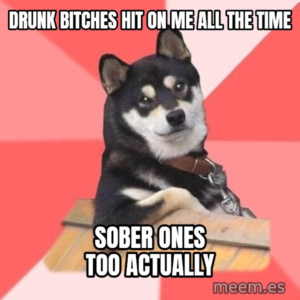 Cool Dog meme: Drunk bitches hit on me all the time / Sober ones too actually