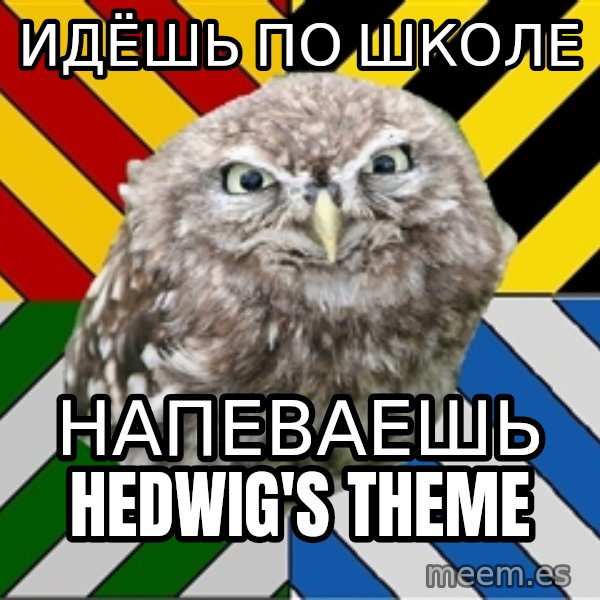 JEALOUS POTTEROMAN meme: идёшь по школе / напеваешь Hedwig's theme