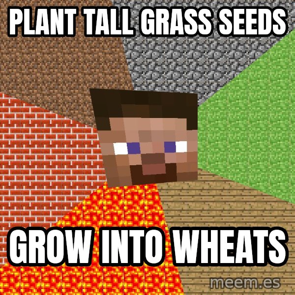 Minecraft Guy meme: plant tall grass seeds / grow into wheats