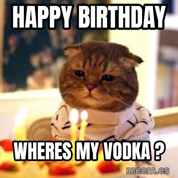 Birthday Cat meme: happy birthday / wheres my vodka ?