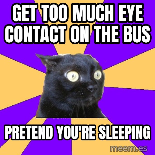 Anxiety Cat meme: get too much eye contact on the bus / pretend you're sleeping