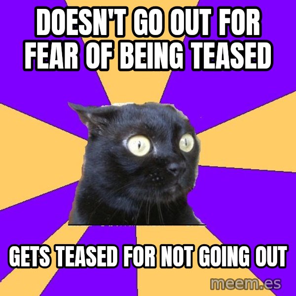 Anxiety Cat meme: dOESN'T GO OUT FOR FEAR of being teased / gets teased for not going out