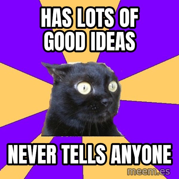 Anxiety Cat meme: has lots of good ideas / never tells anyone