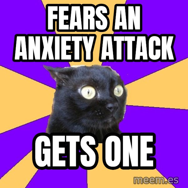 Anxiety Cat meme: fears an anxiety attack / gets one