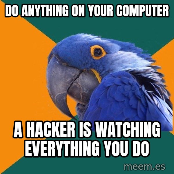 Paranoid Parrot meme: do anything on your computer / a hacker is watching everything you do