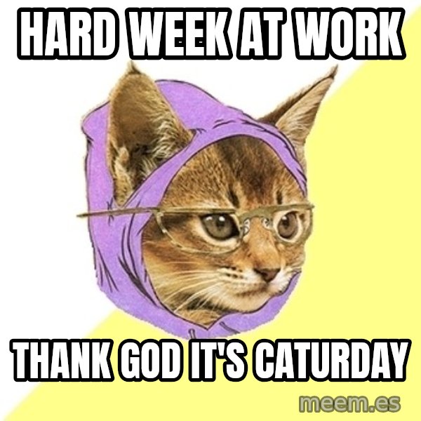 Hipster Kitty meme: HARD WEEK AT WORK / THANK GOD IT'S CATURDAY