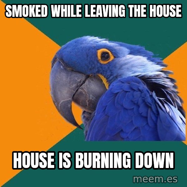 Paranoid Parrot meme: Smoked while leaving the house / house is burning down