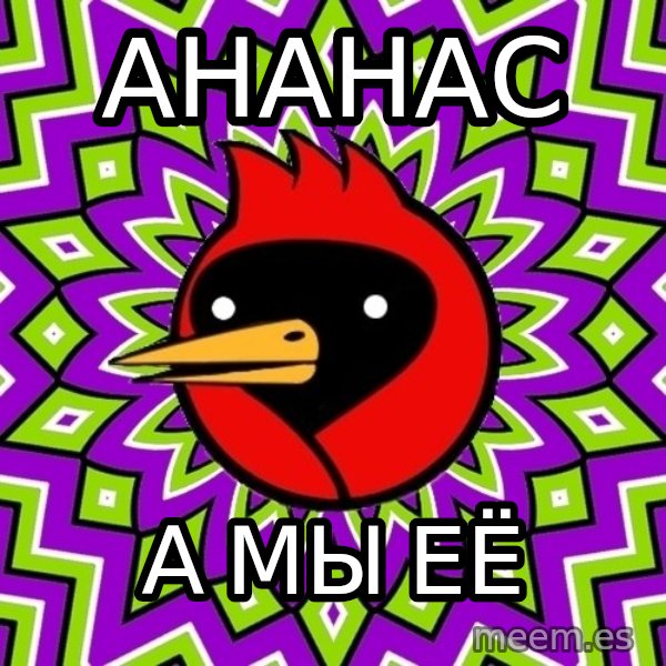Omsk Crow meme: АНАНАС / А мы её