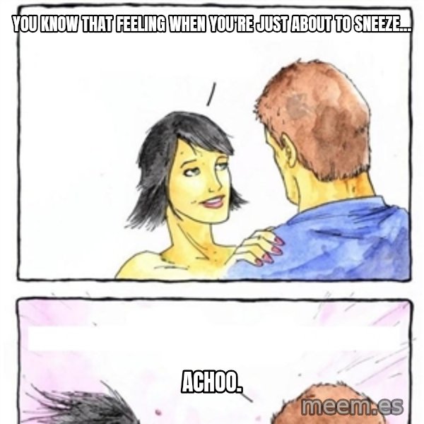 Alpha Boyfriend meme: You know that feeling when you're just about to sneeze... / achoo.