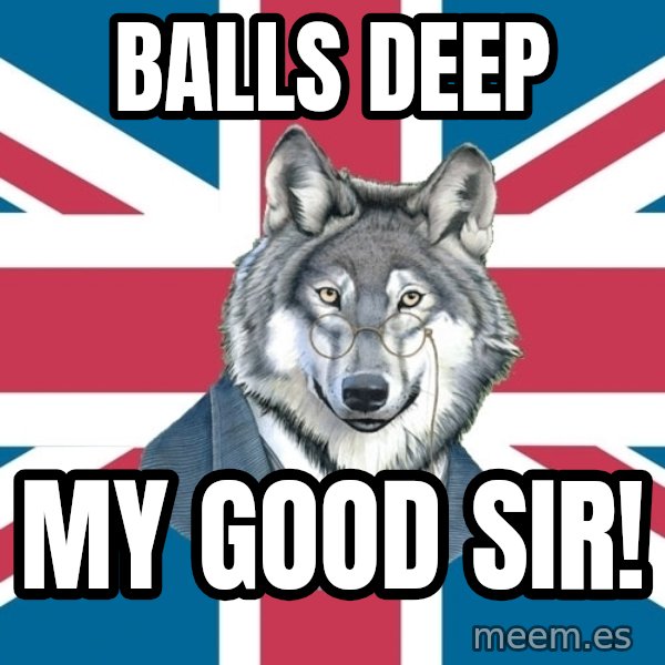 Sir Courage Wolf Esquire meme: balls deep / my good sir!
