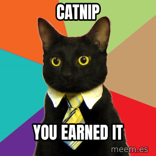 Business Cat meme: Catnip / You earned it