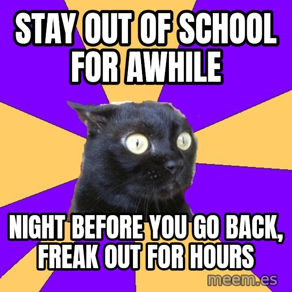 Anxiety Cat meme: stay out of school for awhile / Night before you go back, freak out for hours