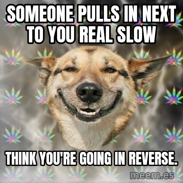 Stoner Dog meme: someone pulls in next to you real slow / think you're going in reverse.