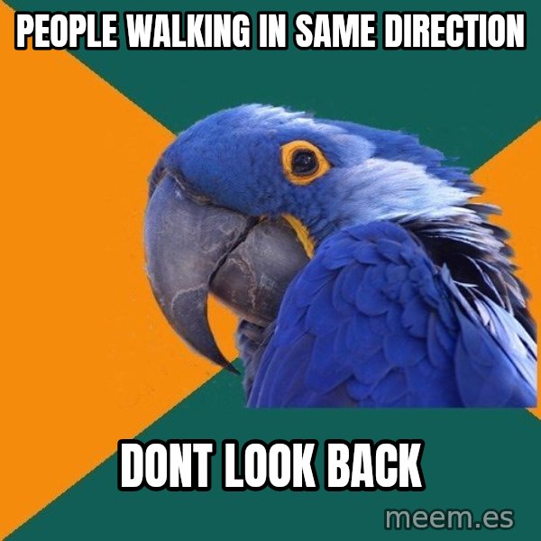Paranoid Parrot meme: people walking in same direction / dont look back